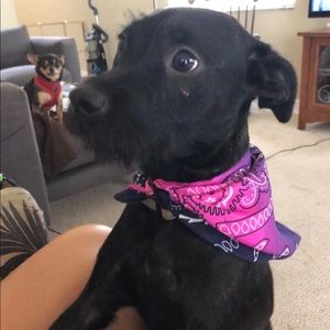 Meet your Posher, Stacy